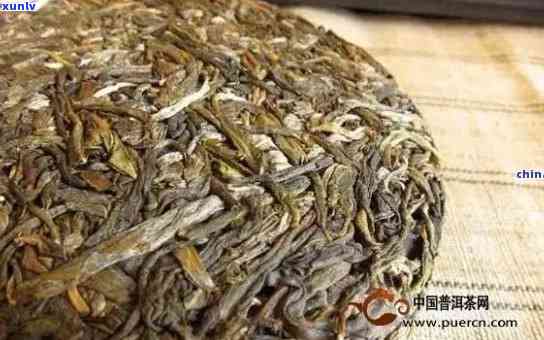 泰州资深普洱茶招商