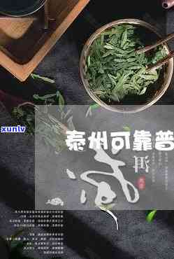 泰州资深普洱茶招商