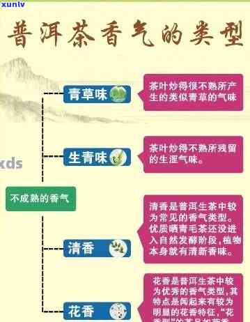 探索四个小青普洱茶品种：你所不知道的普洱茶世界