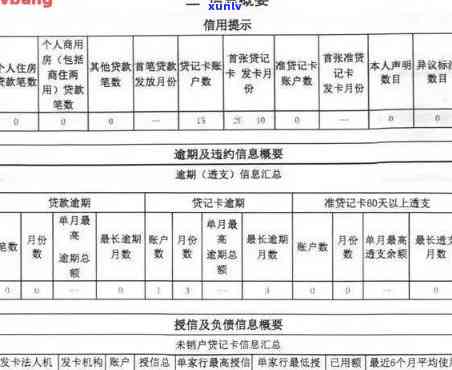 全面解决用户搜索问题的信用卡逾期报告范文编写指南