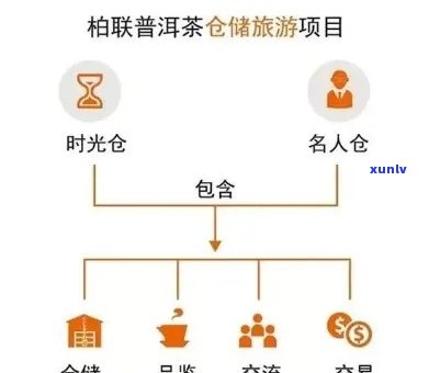 布朗普洱茶招商方案：全方位指南、加盟流程、合作模式及成功案例解析