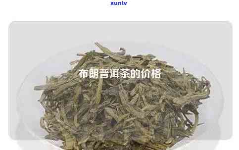 布朗普洱茶招商