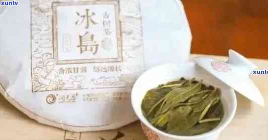 冰岛云南古树茶定制：景迈茶品的独特韵味