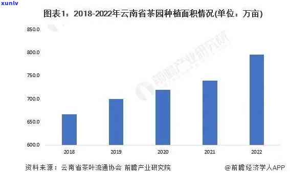 云南普洱茶种植的成功前景解析与未来市场趋势分析