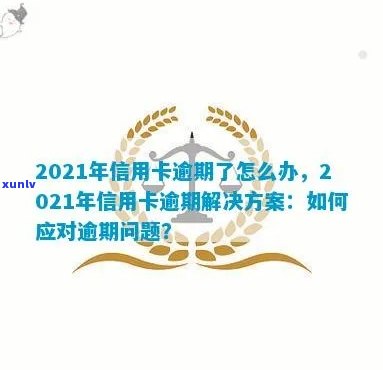 2021年广发信用卡逾期解决方案：如何应对、影响与预防