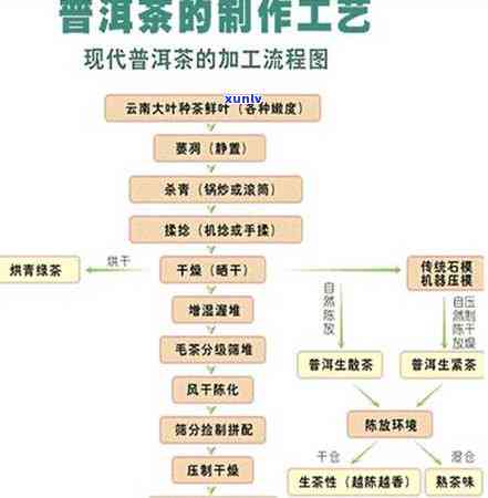 普洱茶成熟发酵工艺流程：探讨普洱熟茶的 ***  *** 