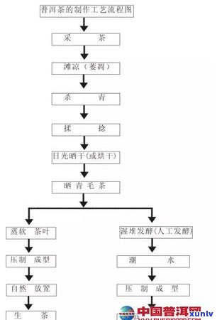 普洱茶成熟发酵工艺流程：探讨普洱熟茶的 ***  *** 