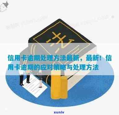 逾期信用卡管理策略：实用步骤与建议