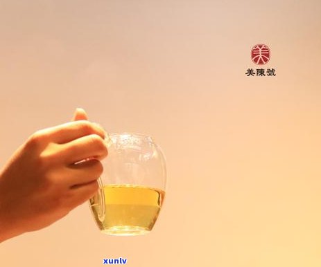 普洱茶的香气、味道与独特口感：生茶与熟茶的比较分析