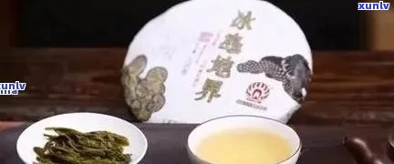 冰岛熟普洱茶的独特品饮体验及其醇厚口感特点分析