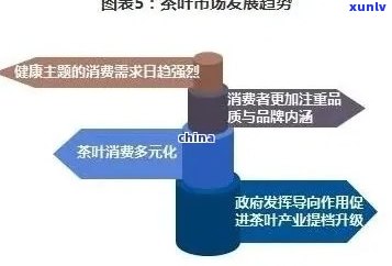 全面解析普洱茶市场：深入洞察各竞品优势与挑战