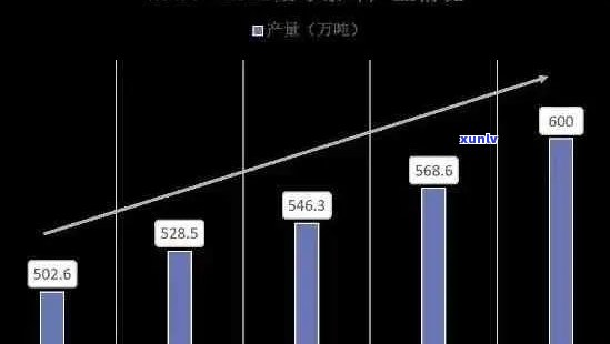 全面解析普洱茶市场：深入洞察各竞品优势与挑战