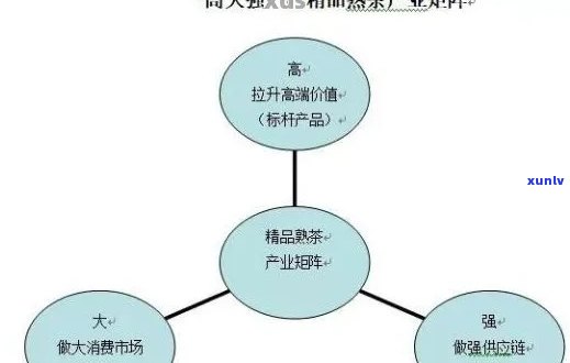 普洱茶竞争格局解析：全面比较各种普洱茶的特点与优劣