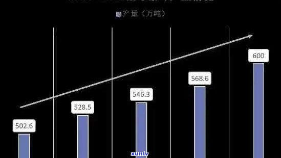 普洱茶竞争格局解析：全面比较各种普洱茶的特点与优劣