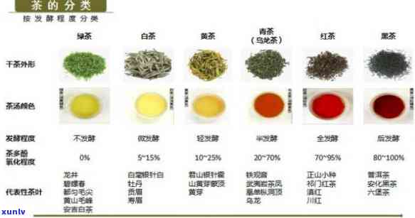 高阳坡茶叶：品种、产地、 *** 工艺、口感、功效与泡茶 *** 全方位解析