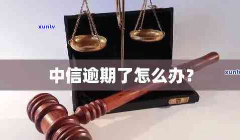 中信银行金宝逾期解决方案：信用业务助力信用卡客户