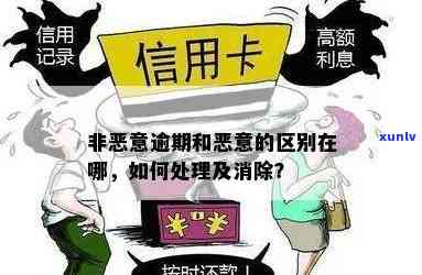 如何避免非恶意逾期对产生影响？系统相关政策及处理流程全面解析