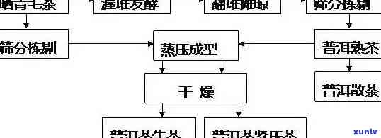 普洱茶 *** 加盟流程