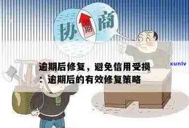 逾期还款后如何解决债务？是否存在 *** ？同时了解信用修复策略