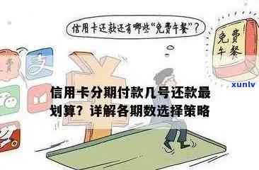 信用卡逾期还款后如何选择分期方案以解决财务困境？