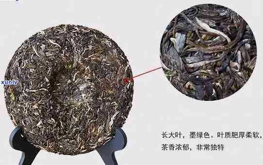 掌握这五招，轻松辨别普洱茶的优劣