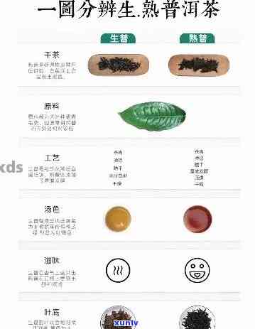 普洱茶怎么区分生熟、好坏与等级