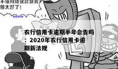 农行信用卡逾期被判刑多久能解除？2020年农行信用卡逾期新法规是什么？