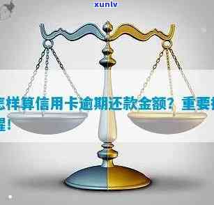 信用卡逾期还款限额：详细解释及更高可能还款金额