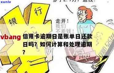 信用卡逾期还款日利息计算方式解析：一天内还清更高额度是多少？