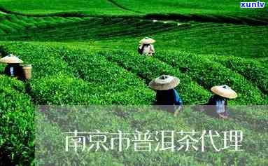 南京加盟普洱茶推荐