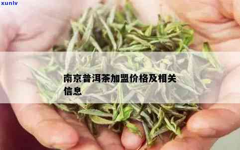 南京加盟普洱茶推荐