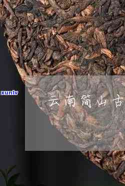 云南高山普洱茶最新价格及货源批发信息 - 古树普洱茶