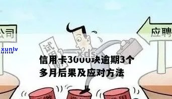 逾期半年的3000元信用卡债务：如何应对可能的后果？