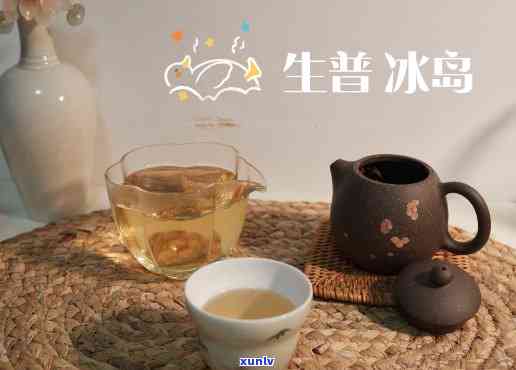 喝冰岛普洱生茶散文