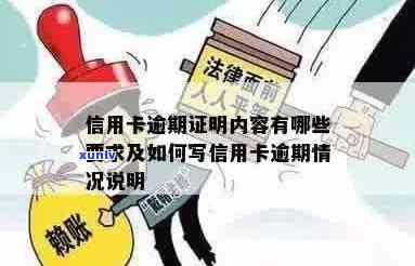 如何证明信用卡被借给他人使用：掌握关键证据与步骤