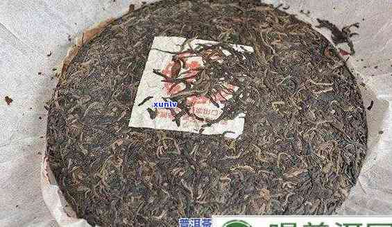 年份与生产地对普洱茶品质的影响：探究出厂日期在其中的作用