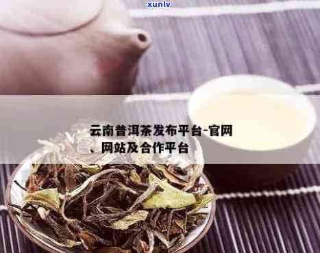 云南茶叶电子交易平台：普洱茶加盟 *** 一站式服务