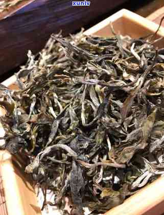 源自云南冰岛古树茶，精选250克普洱茶，阿里批发价格实