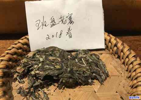 贵州普洱茶 *** 公司：提供全方位服务以满足您的茶叶需求与选择