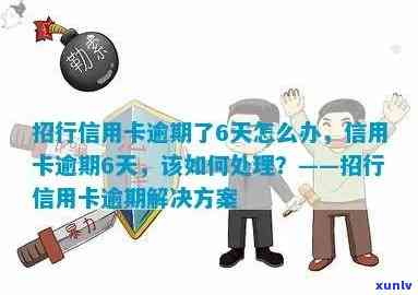 招行信用卡6万逾期处理全攻略：解决方案、影响与应对措一文详解