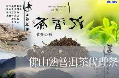 珠海横仙仙茶叶：普洱茶加盟 *** 一站式解决方案