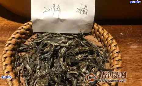 小冰岛普洱茶生茶价格及意义，带你了解这款特色茶！