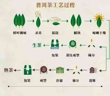 普洱茶工艺杀青的全面解析：从原理到实践，让你深入了解普洱茶的 *** 过程