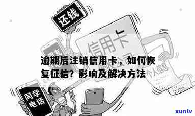 信用卡逾期被动注销后果如何恢复及处理建议