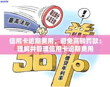 信用卡逾期罚息新政策解读：如何避免高额利息费用？