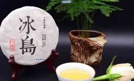 探索冰岛特色普洱茶：口感、特点与品鉴解析