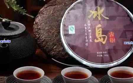 云南普洱冰岛古树茶完整信息与品饮建议：价格，功效，生熟茶区别，收藏价值