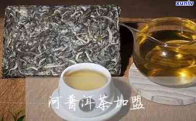 河普洱茶加盟条件