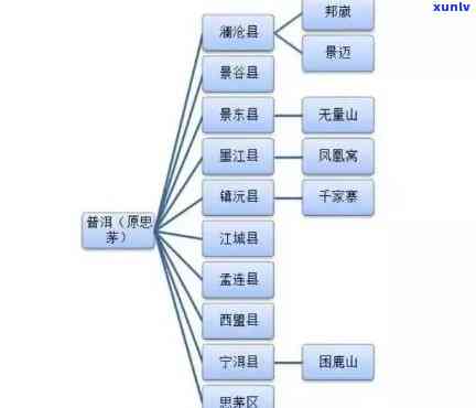 普洱茶的四大产区与详尽分类解读：从茶叶特征到口感差异