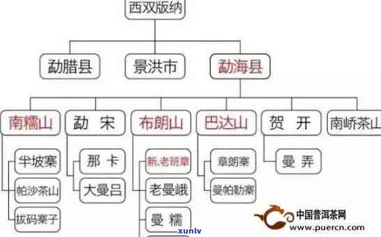 普洱茶的四大产区与详尽分类解读：从茶叶特征到口感差异